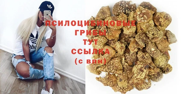 таблы Майский