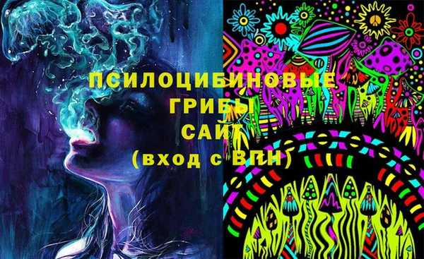спиды Медногорск
