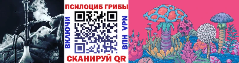 Псилоцибиновые грибы Magic Shrooms  Купить  Камбарка 
